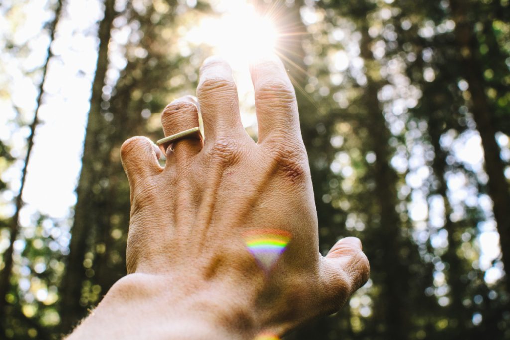 12 Immutable Laws of the Universe