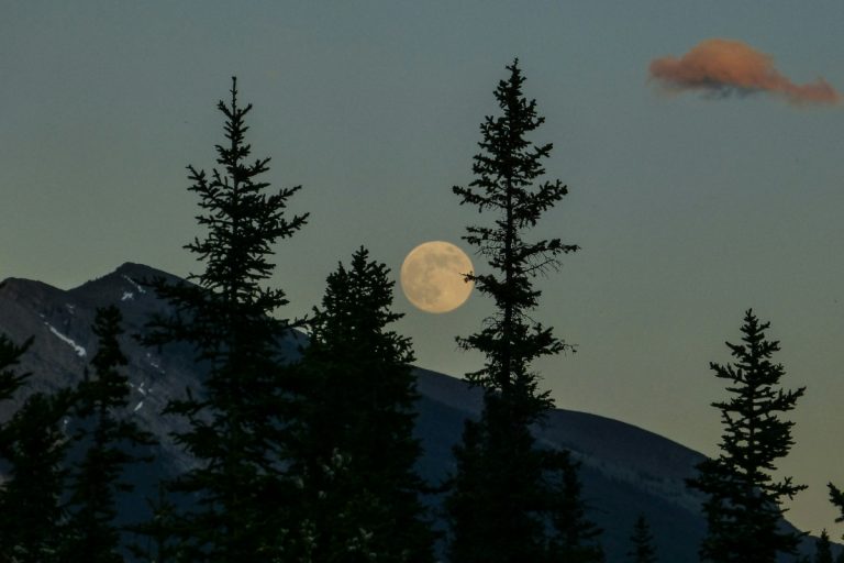 Manifesting with the Moon
