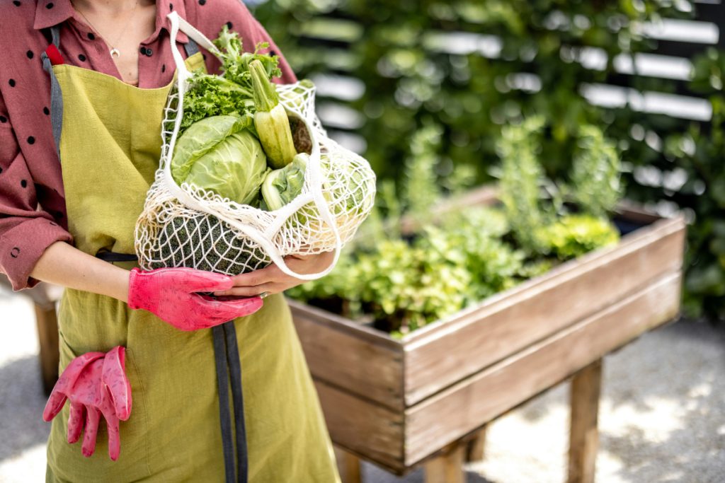 Sustainable Living Guide